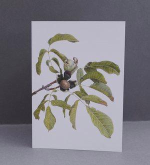 Greeting card