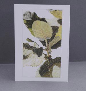 Greeting card